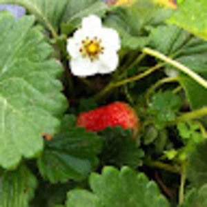 Meet your Posher, Stacy